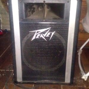 Peavey pa speaker